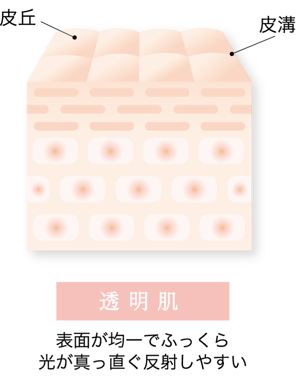 セクァーナ スキンウォーター